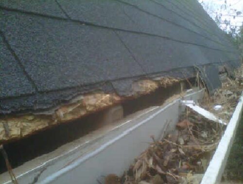 Gutter damage caused by raccoon